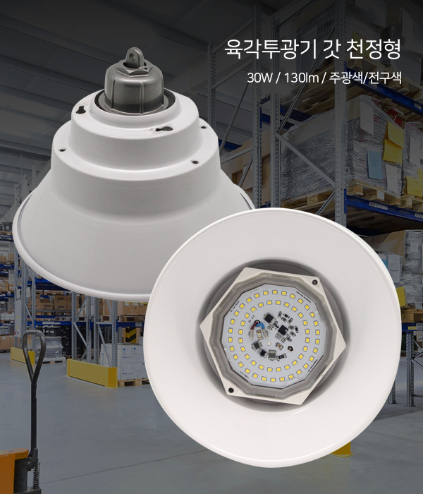 육각투광기 갓 천정형 LED 30W